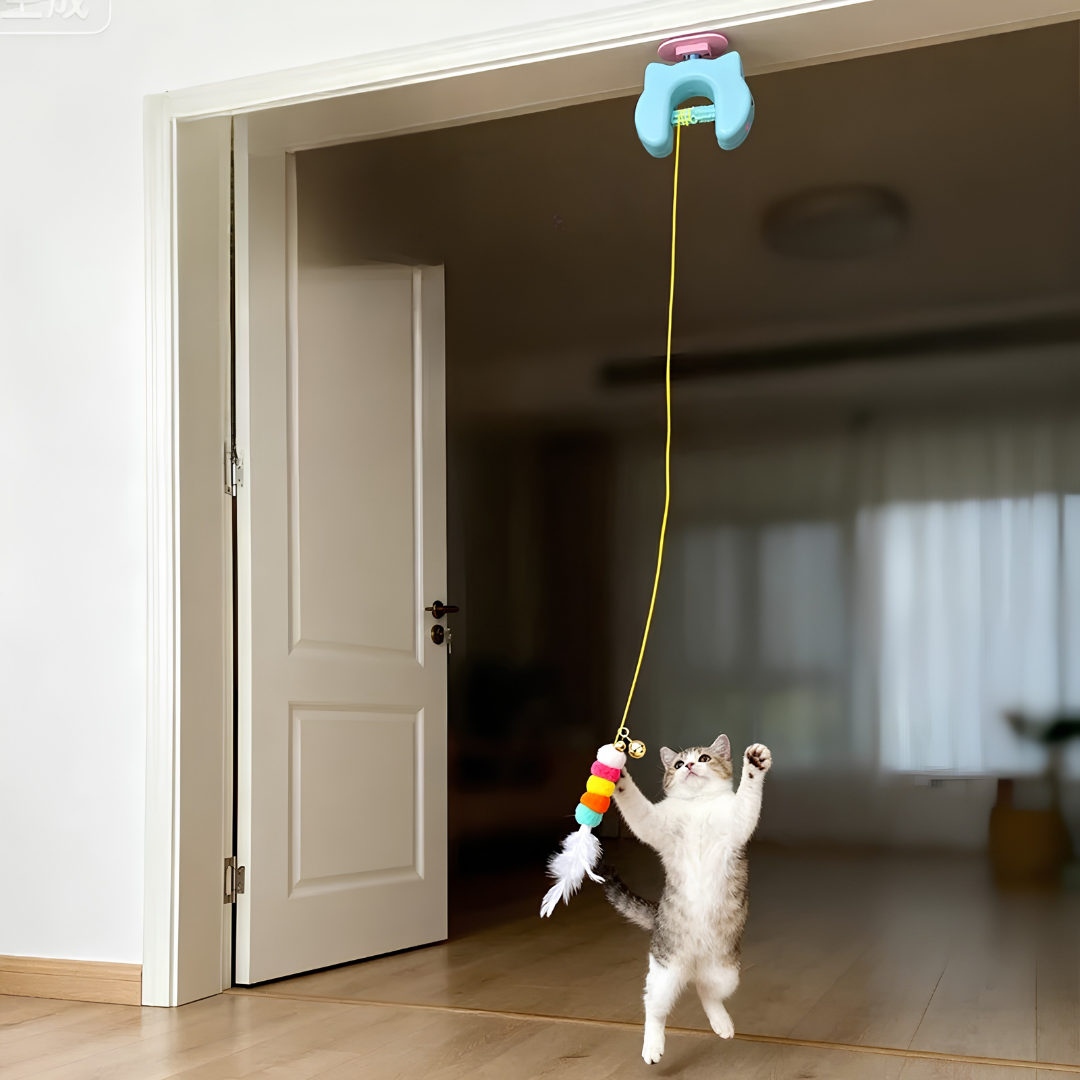Elektrisches Katzen-Hänge-Spielzeug für Spaß und Freude