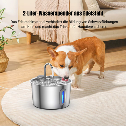 Flüsterleiser Trinkbrunnen - Wasserspender für Haustiere