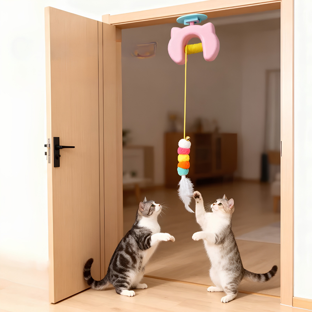 Elektrisches Katzen-Hänge-Spielzeug für Spaß und Freude
