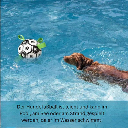 Hunde-Fußball mit Griff