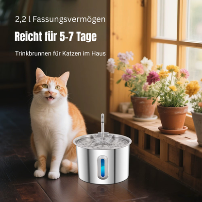 Flüsterleiser Trinkbrunnen - Wasserspender für Haustiere