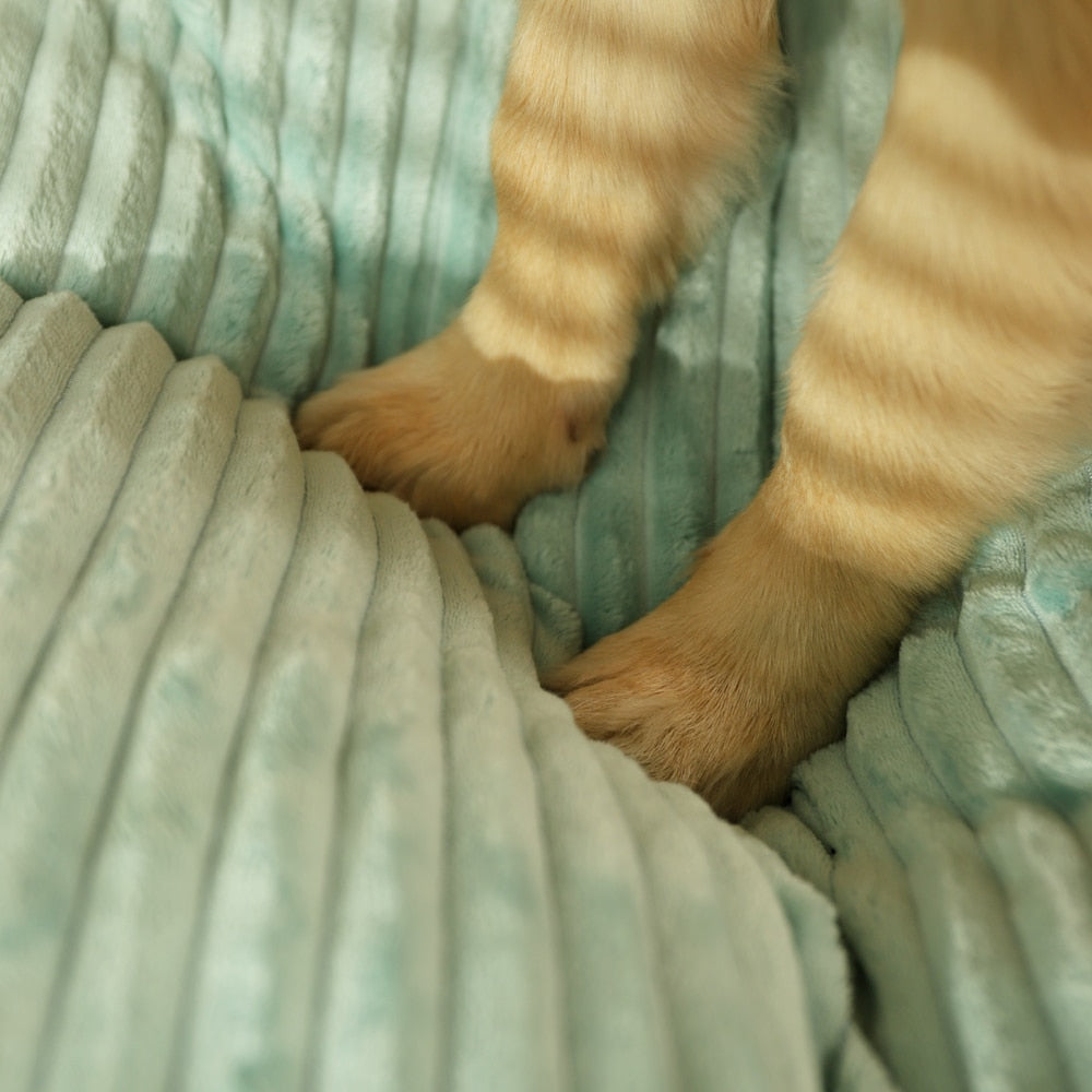PurrClean - Waschbares Haustierbett mit Cordbezug