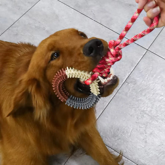 Hunde-Beißspielzeug - Seil mit Ring