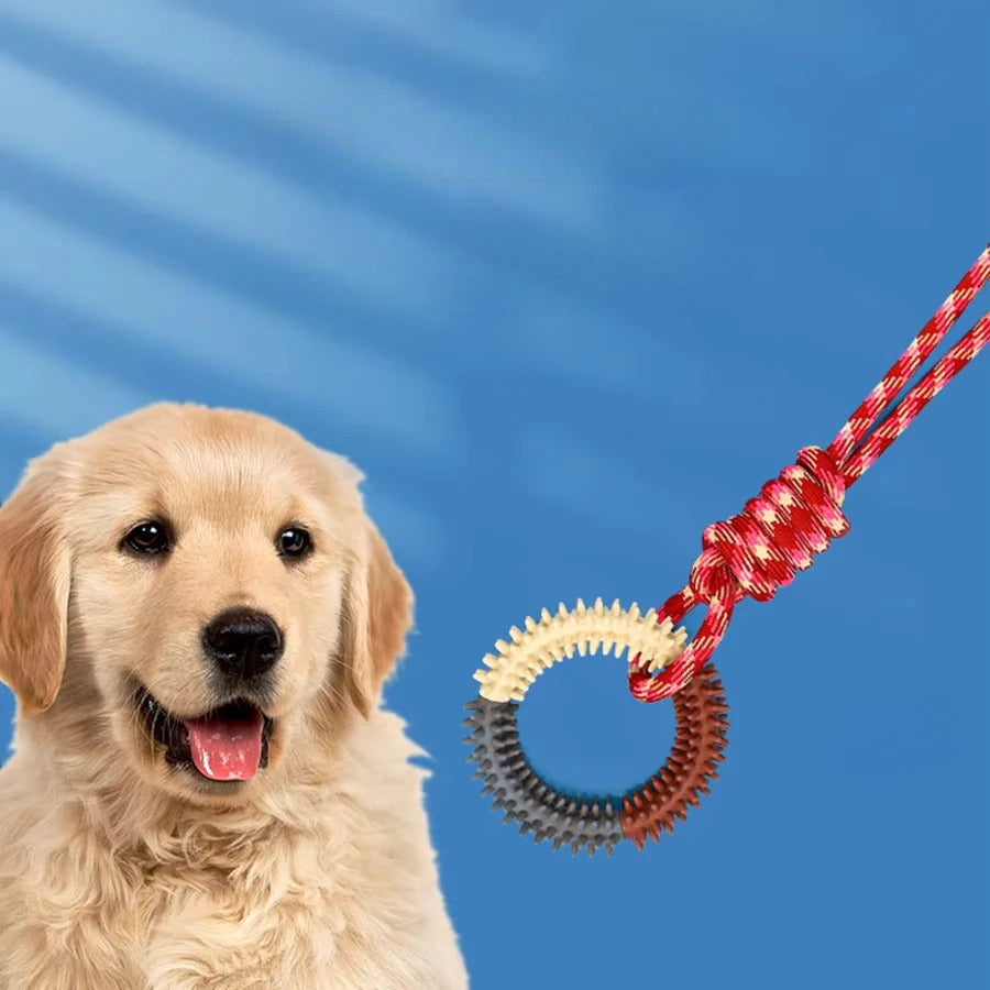 Hunde-Beißspielzeug - Seil mit Ring