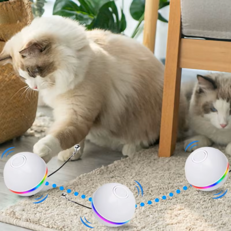 Interaktiver Spielball für Katzen