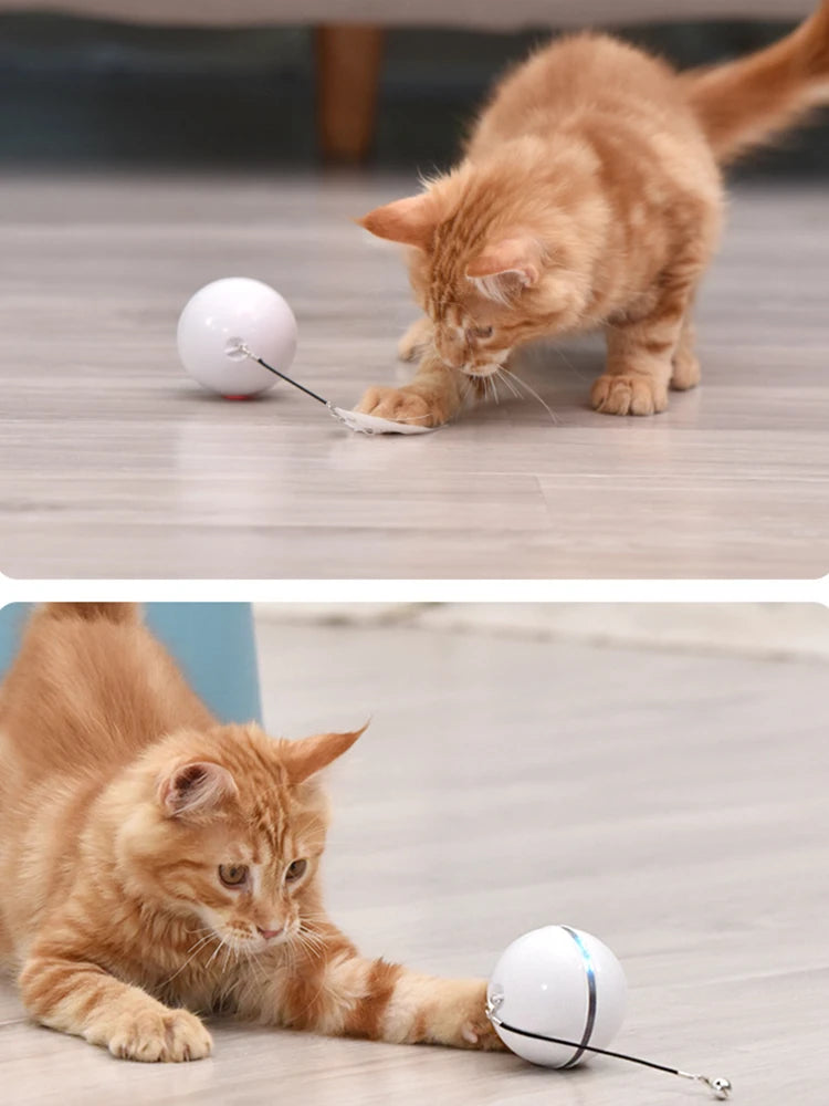 Interaktiver Spielball für Katzen