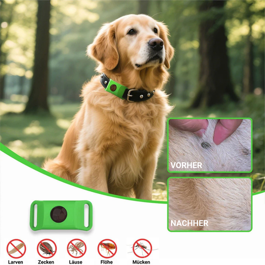 Anti-Zecken- + -Floh-Halsbandanhänger für Katzen und Hunde